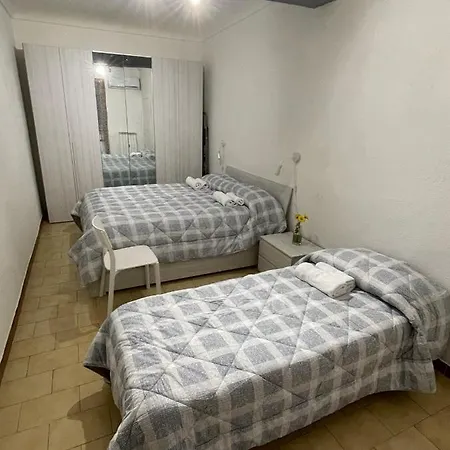 Lila House *